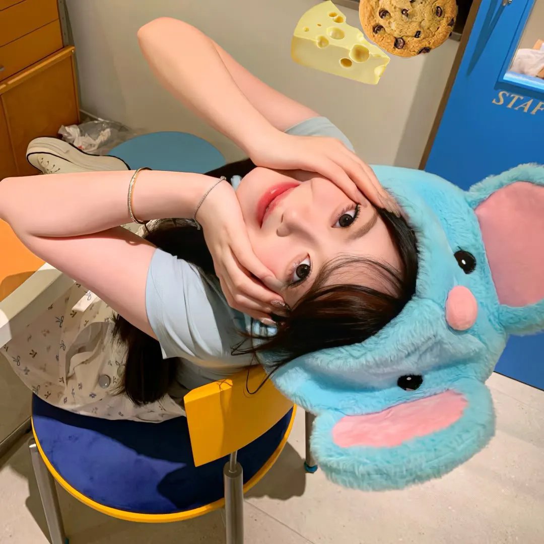 二嫫 在线观看封面