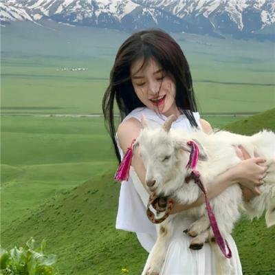 与狼共谋 排行封面