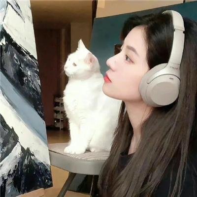 碧蓝航线 微速前进 在线观看封面